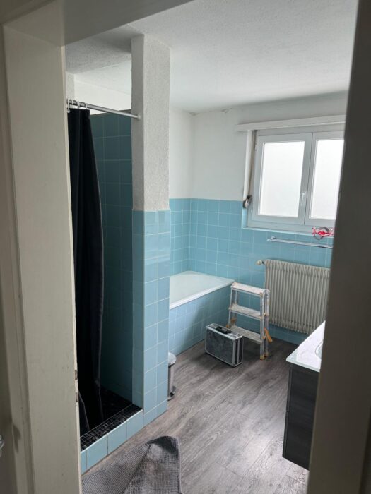 Umbau, Renovation und Sanierung