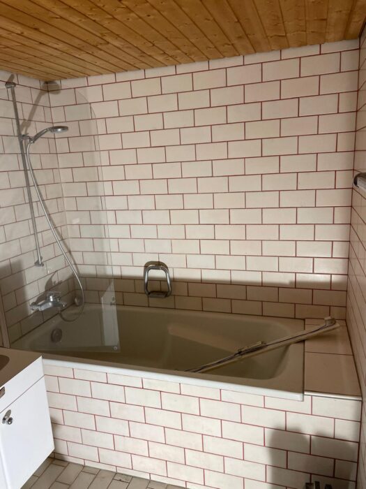 Umbau, Renovation und Sanierung