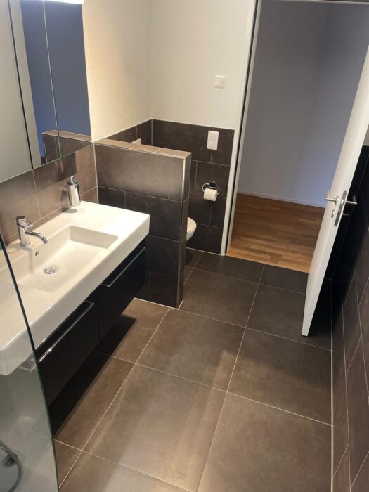 Umbau, Renovation und Sanierung