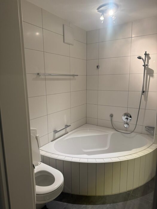 Umbau, Renovation und Sanierung